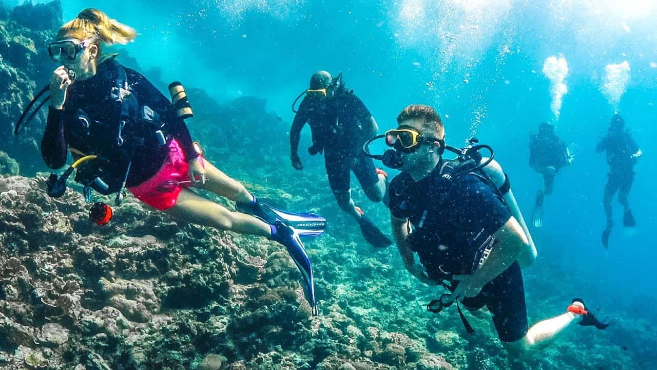 Mediterranean Diving Programme